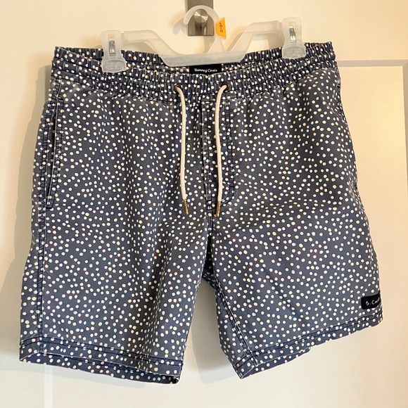 Barney Cools Amphibious Swim Shorts - Picture 1 of 3